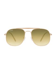 D.Franklin Sunglasses Roeder (DFKSUN2102) Γυαλιά Ηλίου Gold / Gold
