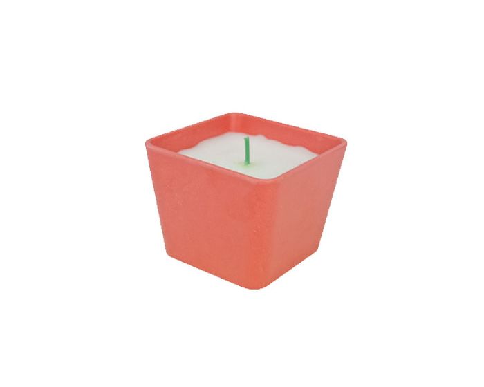 Woodway Bamboo Candle Αρωματικό κερί 2 σε 1 με Βιοδιασπώμενους Σπόρους - Strawberry Divine