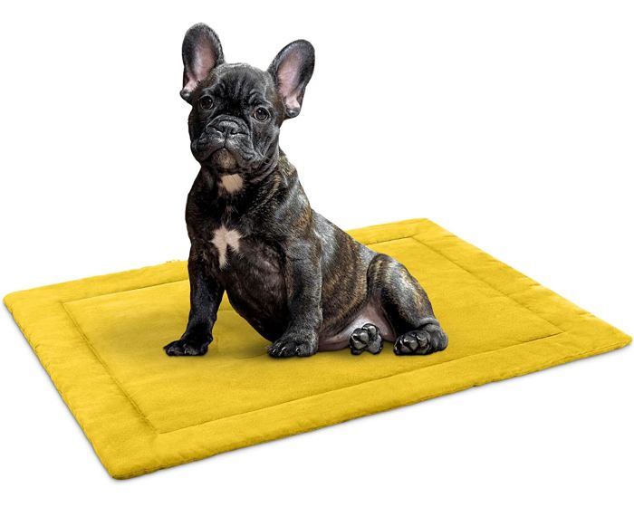 Navaris Dog Trave Roll Up Portablel Bed (55579.06) Φορητό Στρώμα Κατοικιδίων 86.5 x 65 cm - Κίτρινο